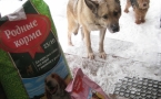 Продолжение праздничного банкета